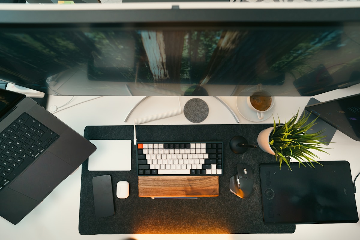 Clean dual-monitor desk setup on a budget