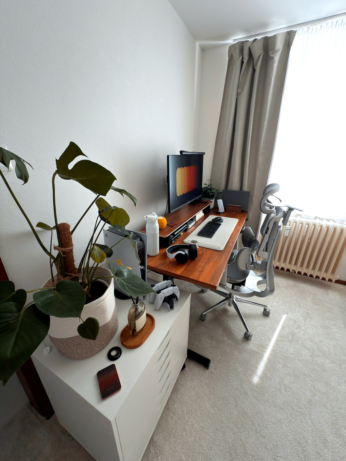 Beautiful home office desk setup with plant and natural light